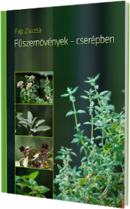 Fűszernövények cserépben